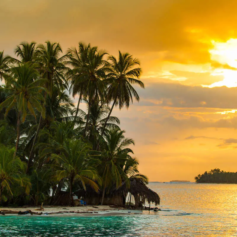 View Of Palms Swinging In The Wind In San Blas, Panama, Central America