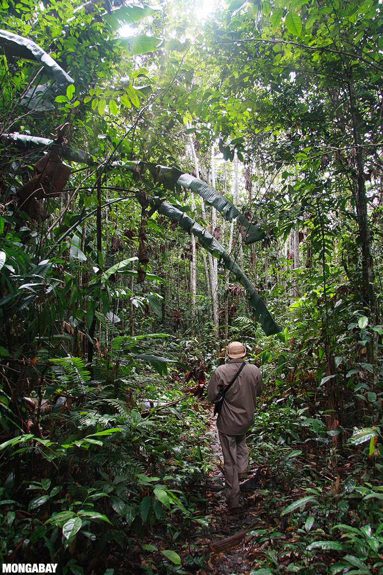 Jonathan, head of the indigenous park guard program for Kwamalasamutu, on patrol in the Amazon rainforest.
