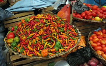 Peppers, Sucre, Bolivia