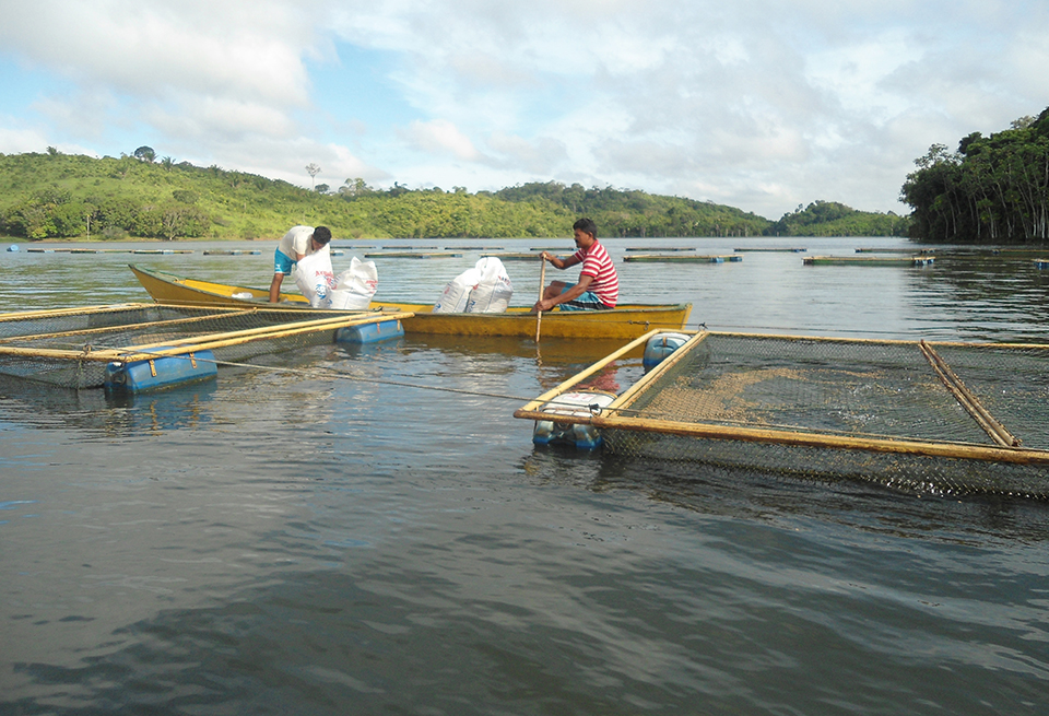 Article image for Aquaculture planning, development in Brazilian federal waters