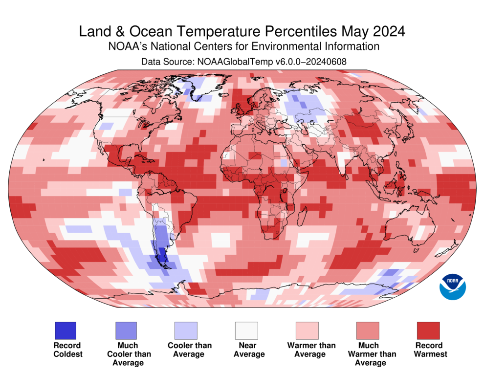 Map of the globe depicting Land and Ocean Temperature Percentiles for May 2024.