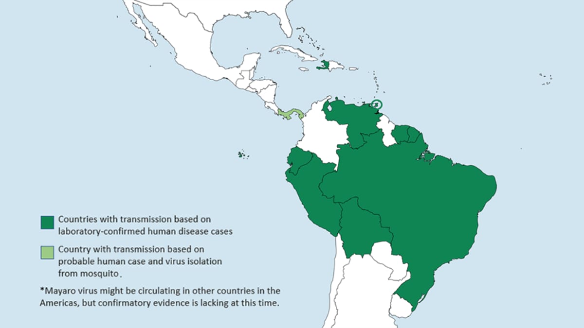 Mayaro virus has been found in parts of South America, Central America, and the Caribbean.