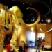 10 Must-Visit Museums Galleries In Mesa Arizona