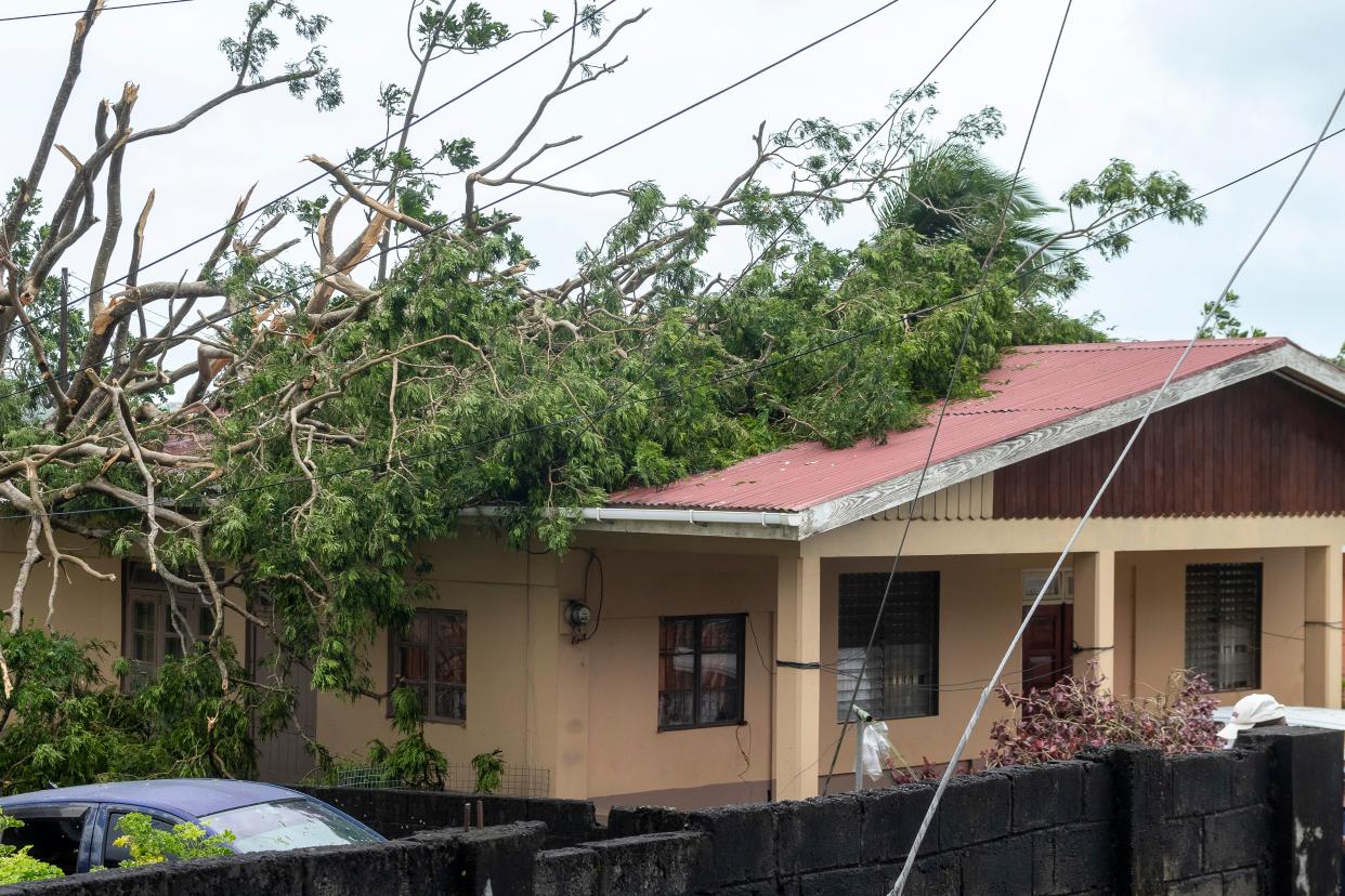 A tree lies on the roof of a house in Kingstown, St. Vincent and the Grenadines, after Hurricane Beryl on Monday, July 1 (AP)