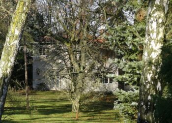 Monthly Review | Cuba, Che Guevara, and the Problem of “Socialism in One Country”