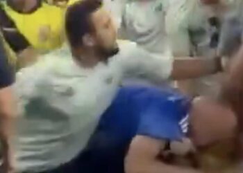 Shocking moment Ecuador and Mexico fans brawl in the stands as brutal punches are thrown during Copa America clash