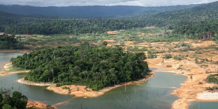 As logging booms in Suriname, forest communities race to win land rights