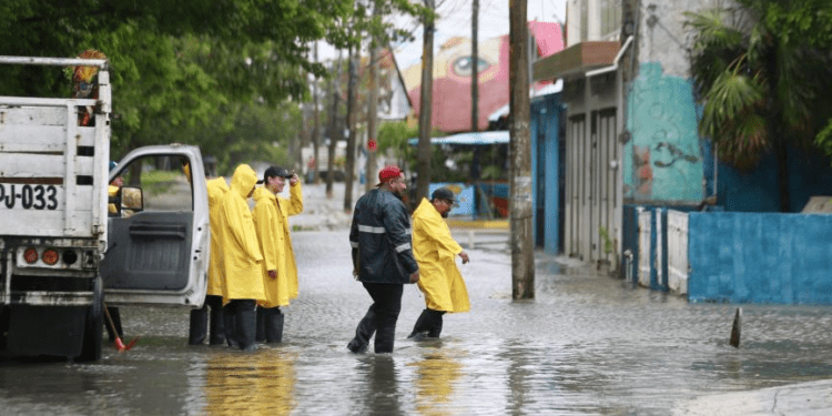 Over 1 mn people in Caribbean affected by Hurricane Beryl: UN