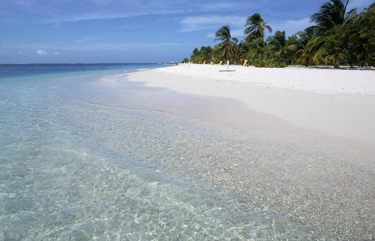 Famous beaches in Venezuela windswept palms and umbrellas on Sombrero Beach Morrocoy National Park