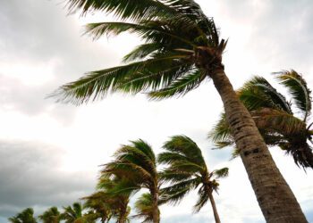 Tourism-Reliant Caribbean Nations Eye Hurricane Beryl Recovery