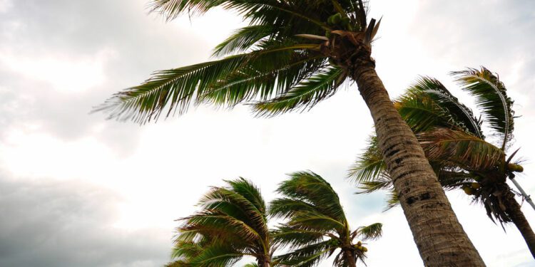 Tourism-Reliant Caribbean Nations Eye Hurricane Beryl Recovery