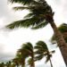 Tourism-Reliant Caribbean Nations Eye Hurricane Beryl Recovery