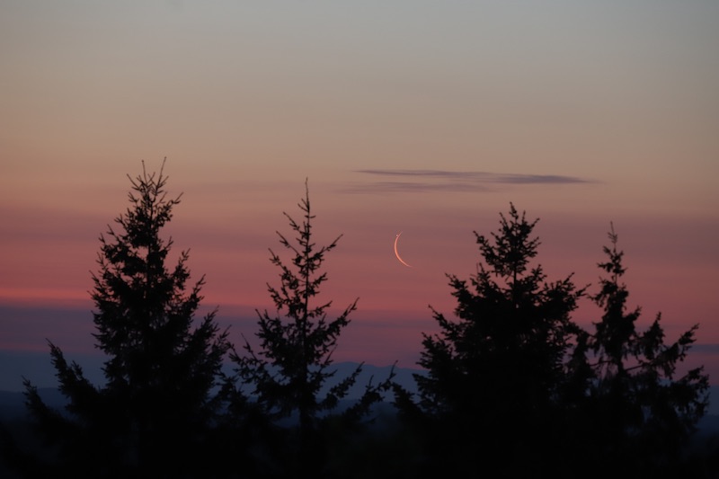 Moon and Jupiter: Jupiter near moon in morning twilight with pine trees in foreground.