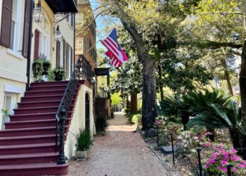 Best southern states of America to visit in 2024