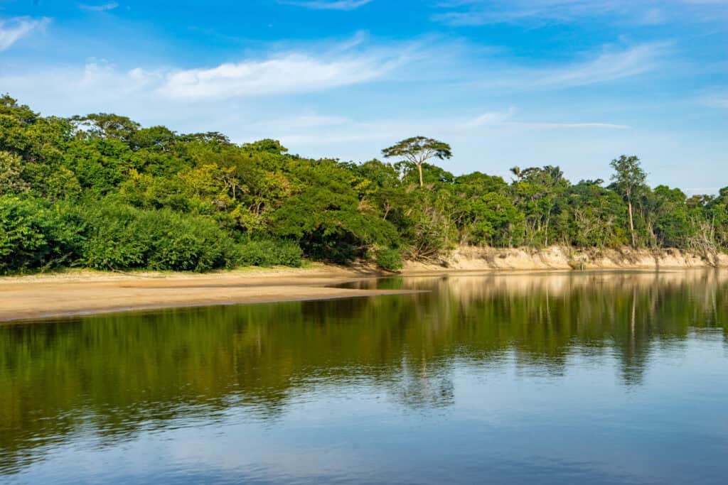Lake in Rupununi, Guyana