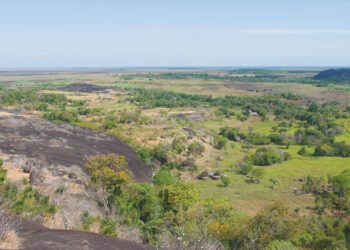 Monumental rock art in South America – The Past