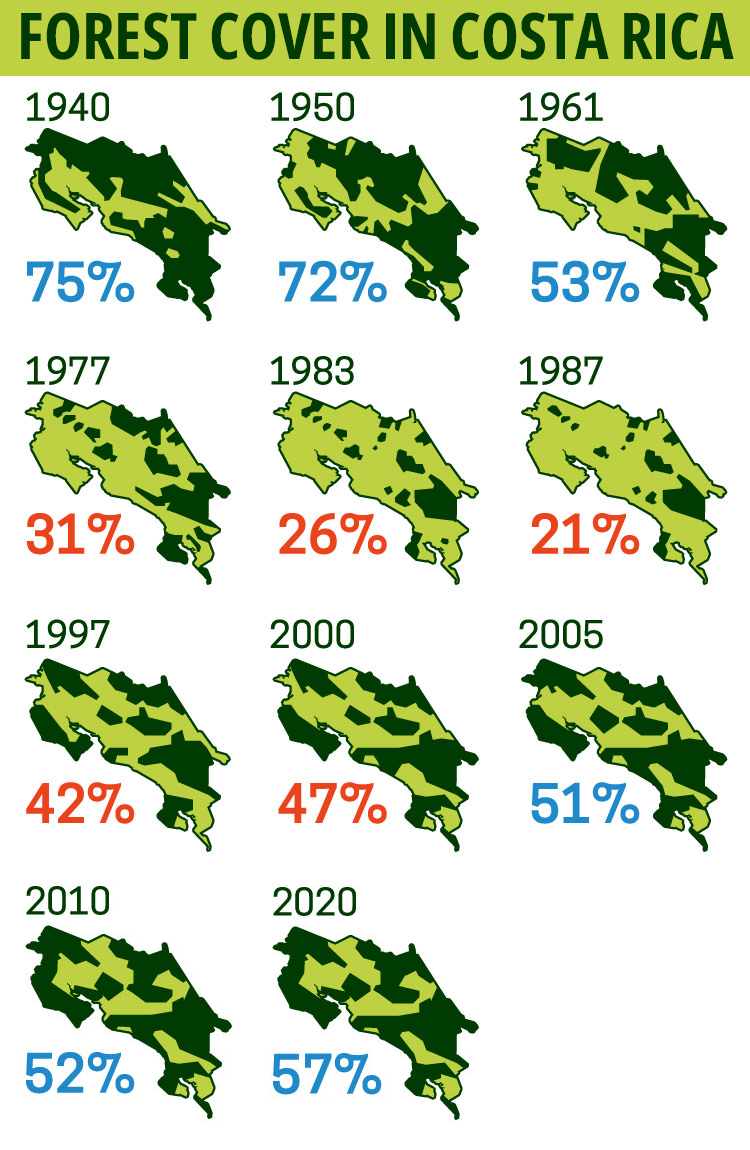 Changes in forest cover. Adapted from an image by Rodrigo Ruiz