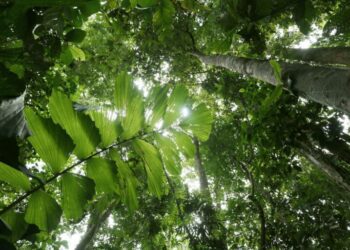 Conservation pays and everyone’s benefitting from it (commentary)