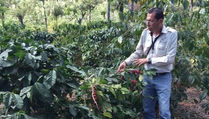 Driving around Central America: Coffee tour / Paul McCurdy Driving around Central America: Coffee tour