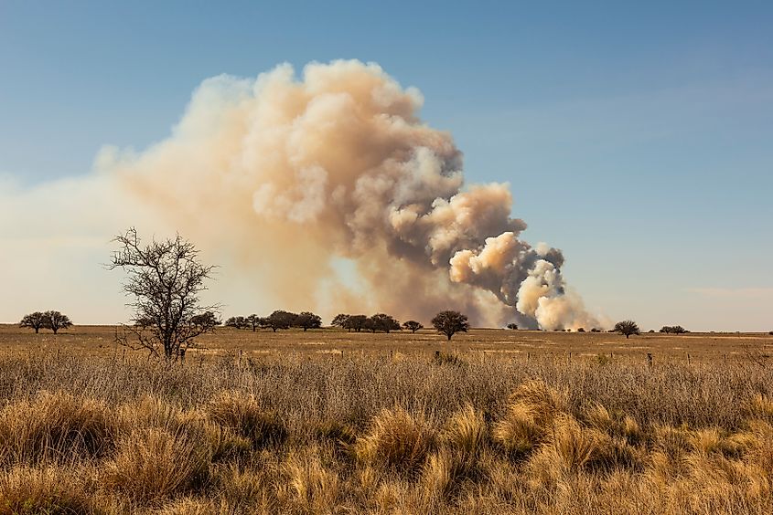 Grassland fire in La Pampa Province, Patagonia, Argentina.