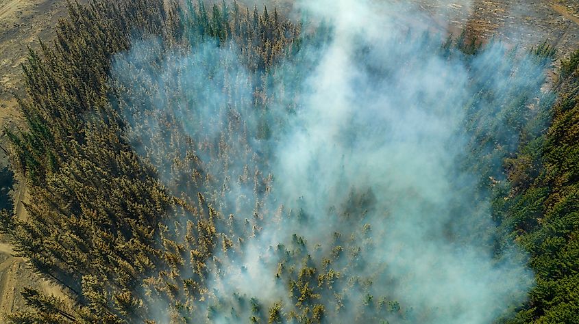 This fire was one of the hundreds that existed in the Biobío Region in February 2023 in Chile.