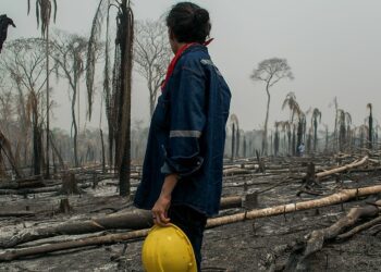 South America's Battle With Droughts That Cause Wildfires