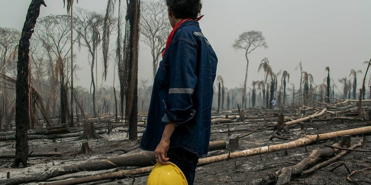 South America's Battle With Droughts That Cause Wildfires