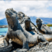 &Beyond expands South America portfolio with its Galapagos Explorer