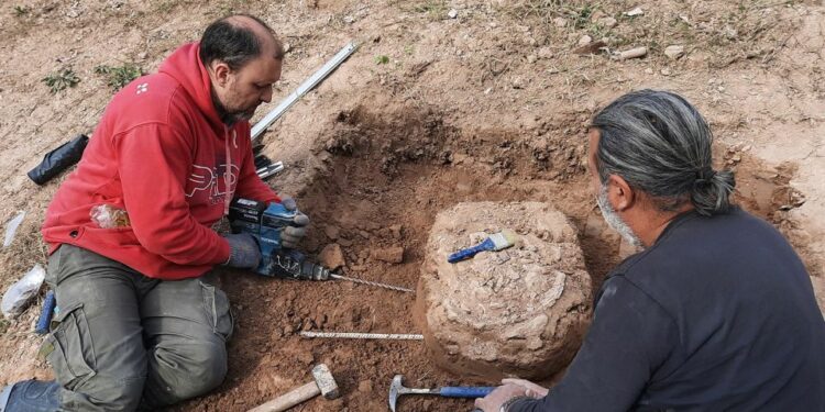 Giant armadillo fossil reveals humans were in South America a surprisingly long time ago