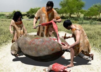Butchered bones hint humans were in South America 21,000 years ago