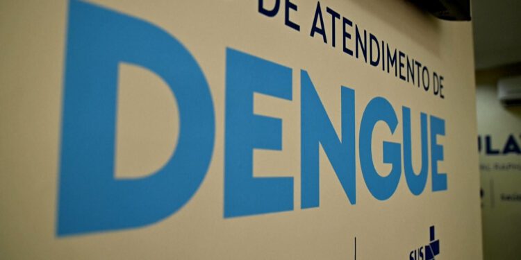 Rising Dengue Cases Across South America