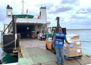 PAHO supports Grenada and St. Vincent and the Grenadines following Hurricane Beryl - PAHO/WHO