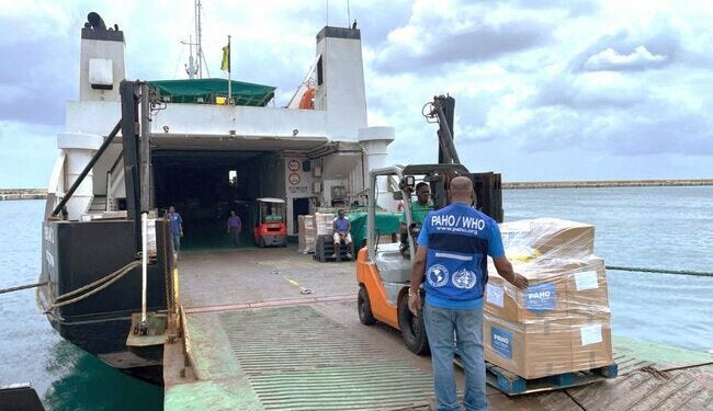 PAHO supports Grenada and St. Vincent and the Grenadines following Hurricane Beryl - PAHO/WHO