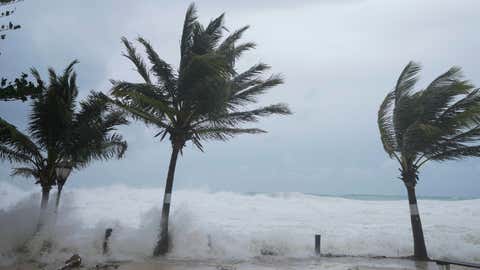 Waves batter palm trees as Hurricane Beryl passes through Hastings, Barbados, Monday, July 1, 2024. (AP Photo/Ricardo Mazalan)