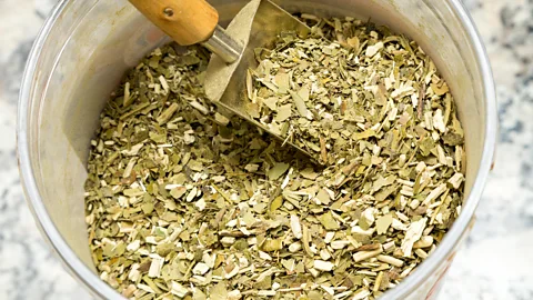 Federico Julien/Alamy Three of the most popular foods in Argentina have started to incorporate yerba mate (Credit: Federico Julien/Alamy)