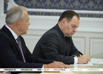 Belarus works with Africa, South America strictly according to plan