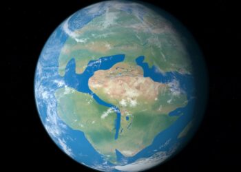 Unparalleled Insight – Ancient Fossil Discovery Shows How South America and Africa Drifted Apart