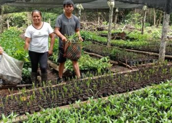 Promoting Sustainable Livelihoods in South America and the Amazon