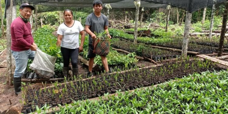 Promoting Sustainable Livelihoods in South America and the Amazon