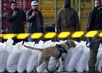 4 tons of cocaine found hidden in sugar in biggest bust in Paraguay's history