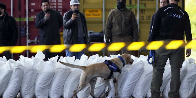 4 tons of cocaine found hidden in sugar in biggest bust in Paraguay's history