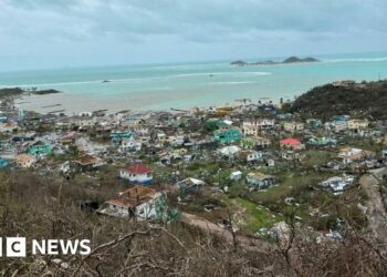 'Almost whole island homeless' in Hurricane Beryl's wake