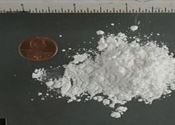 Americas - Ecuador Seizes Six Tonnes of Cocaine Hidden in Banana Shipment