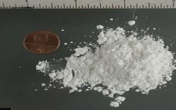 Americas - Ecuador Seizes Six Tonnes of Cocaine Hidden in Banana Shipment