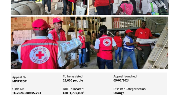 Barbados, Grenada, Jamaica, and Saint Vincent and the Grenadines | Hurricane Beryl - Emergency Appeal Operational Strategy (Appeal No. MDRS2001) - Grenada