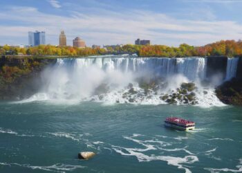 Best Treasury And Cash Management Providers­ 2024: North America