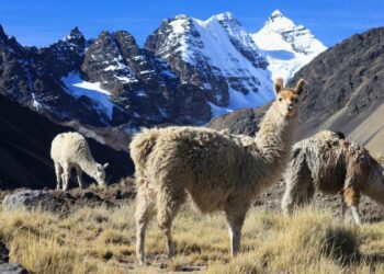 Bolivia’s Cordillera Real: An uncrowded alternative to the Inca Trail