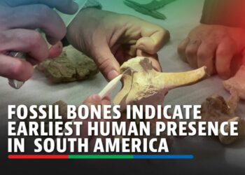 Butchered animal bones indicate earliest human presence in South America - ABS-CBN News