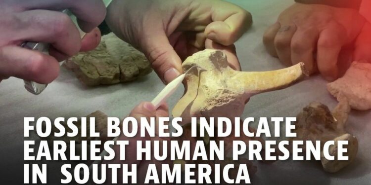 Butchered animal bones indicate earliest human presence in South America - ABS-CBN News