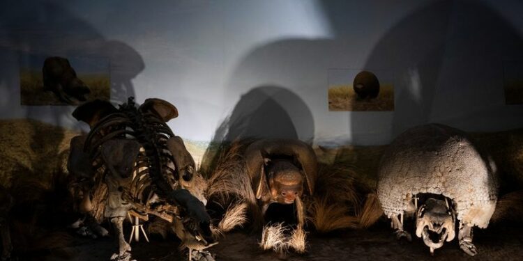Scientists in Argentina discover earliest human presence in South America